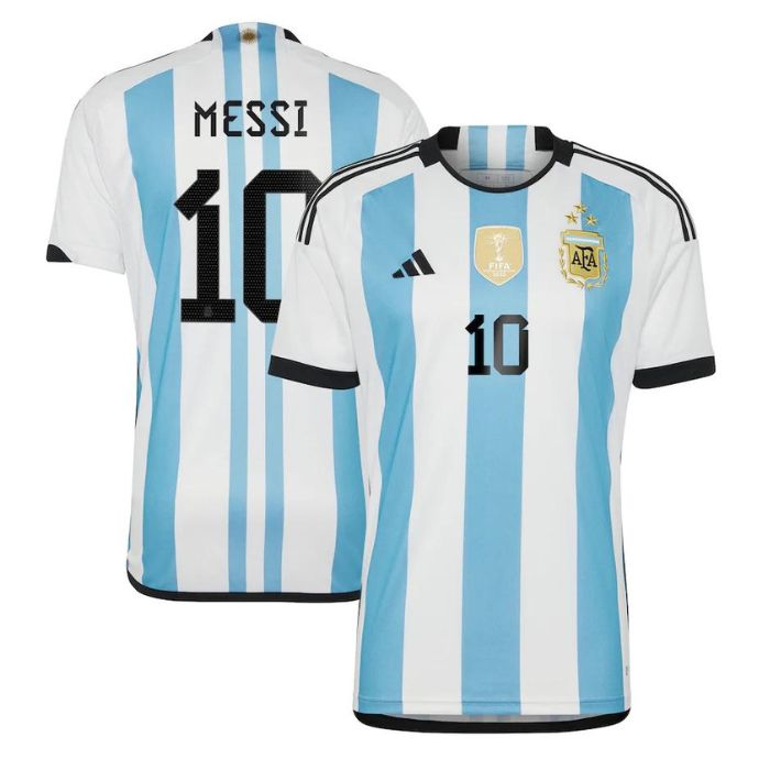 Lionel Messi 10 Argentina National Team Unisex Shirt 2022 Winners Home Jersey – White - Jersey Teams World